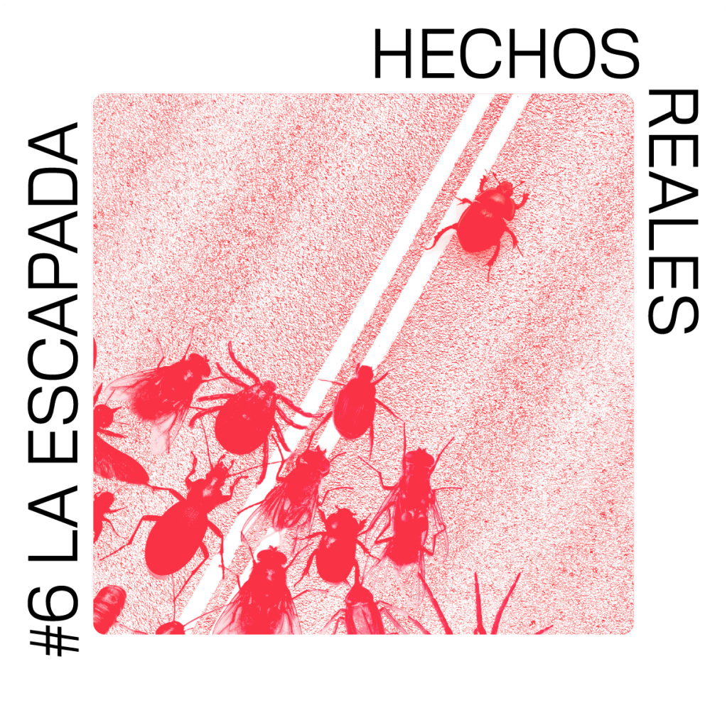 Episodio 6. La&nbsp;escapada